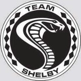 Team Shelby