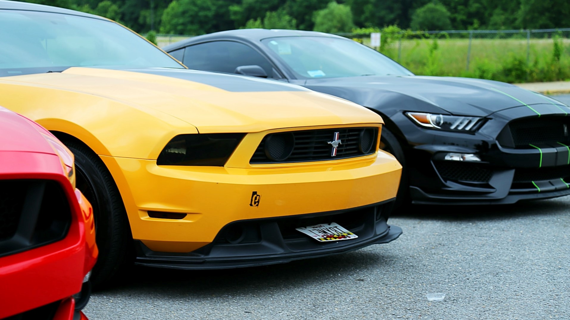 mustangpic3